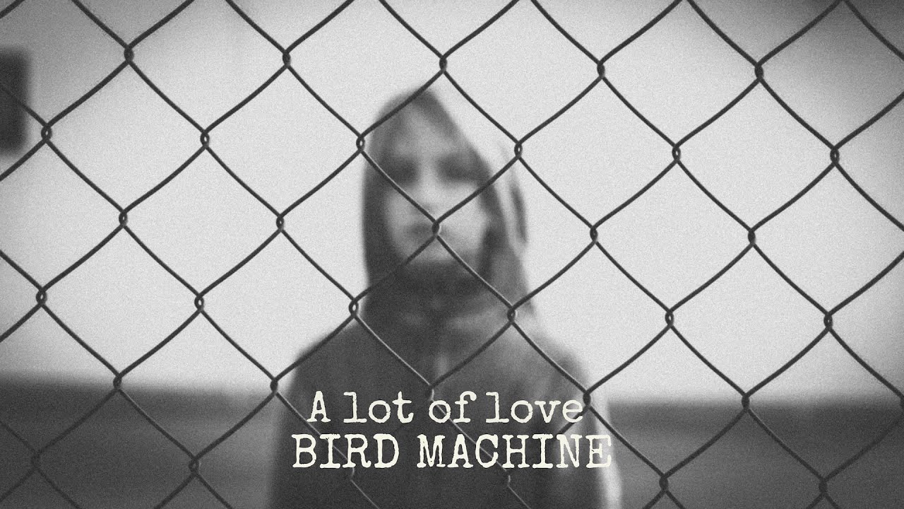 Bird Machine - A Lot of Love [Official Music Video] - YouTube