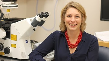Schafer Lab works to unlock mystery of microglia function