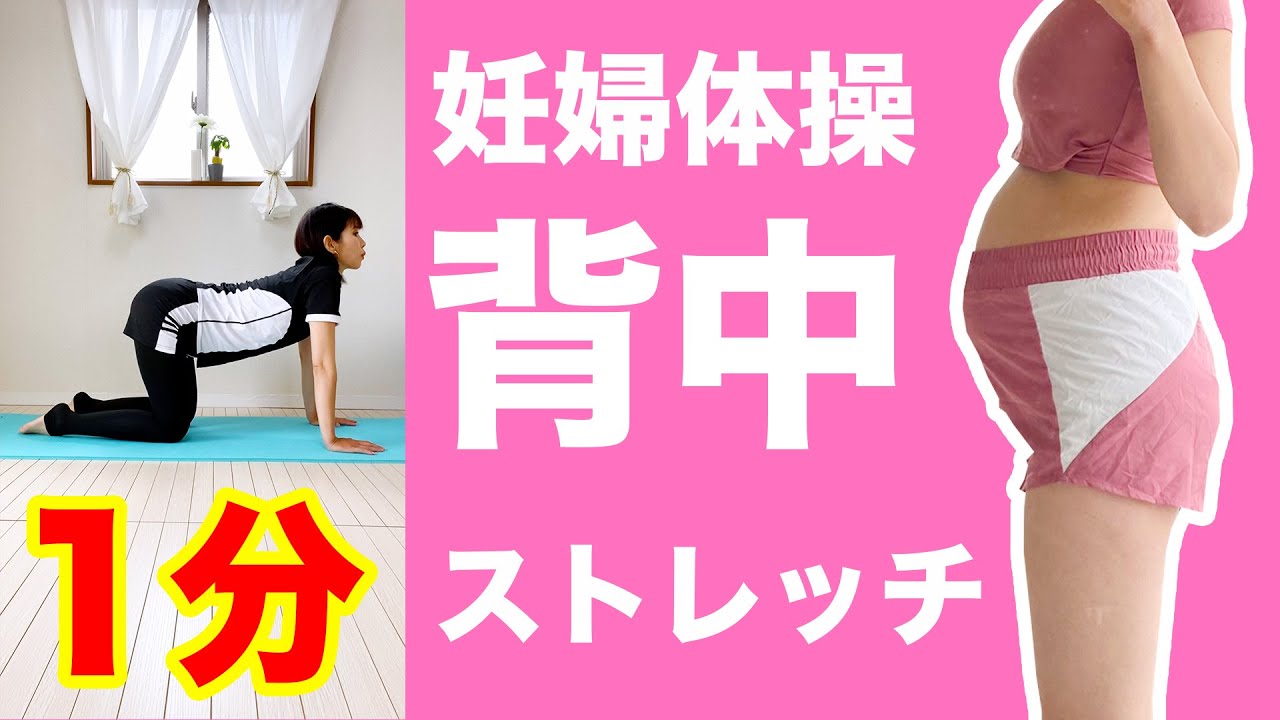 妊婦体操 背中をほぐして反り腰 猫背解消 マタニティヨガ Shorts Youtube