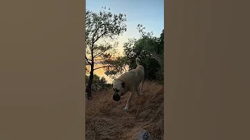 Yeni Bir Gün Yeni Bir Enerji Yeni Bir Umut Günaydın Nature Fishing Lifestyle 