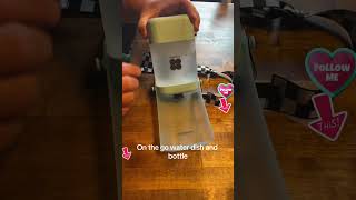 Cool Pet Supplies for Summer #pets #petwaterdish #fok #Trending