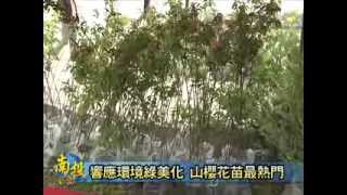 南投新聞-水里種樹技巧暨樹苗排名