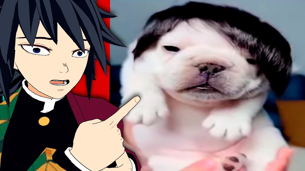 TIKTOKS TAN XD QUE ME HICIERON EMO