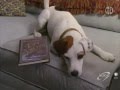 Wishbone  a tail in twain part 1  s01e01