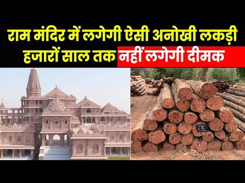 Ayodhya Ram Mandir Update | अयोध्या में राम मंदिर निर्माण के लिए इस राज्य से लाई जाएगी लकड़ी