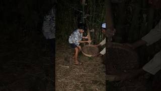 Menemukan Bambu Berisi Hewan shorts  Survival nature