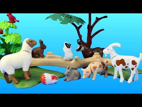 animal toy videos