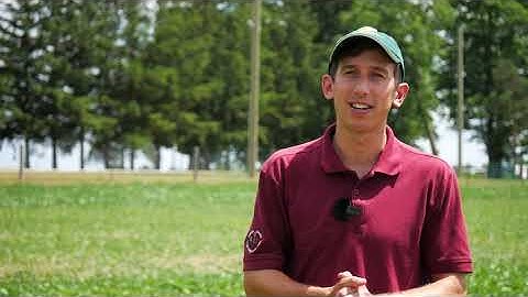 Organic No-Till Soybean Production in Ontario