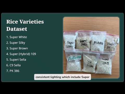 Cloud Based Rice Classification Application Development Using Deep Neural Networks