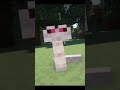 Mejores MODS de  MINECRAFT PARTE 154 Primal MOD