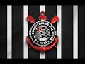 AS CORES DESSE MANTO PRETO E BRANCO SAMBA CORINTHIANS GAVIÕES