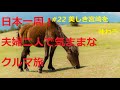 【日本一周】夫婦二人で気ままなクルマ旅 ＃２２ 美しき宮崎を味わう 宮崎県日南市～宮崎県宮崎市 [Around Japan] #22