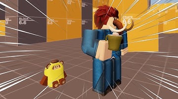 NEW MONKEY UNUSUAL IN ARSENAL!