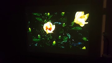 Sharp projector demo