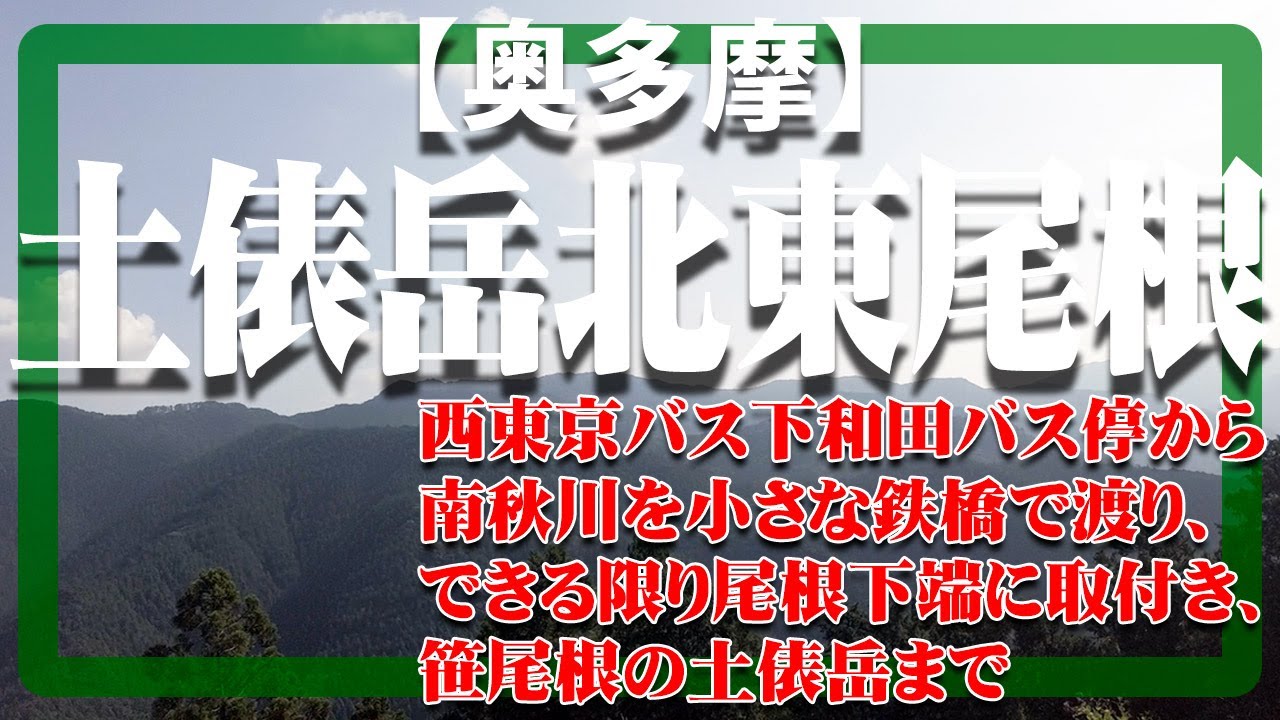 【奥多摩】土俵岳北東尾根を登った映像です。　Dohyodakehokutoone in Okutama Tokyo Japan.