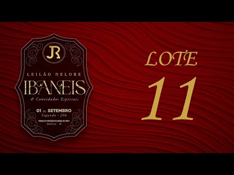 LOTE 11   IRBJ 407