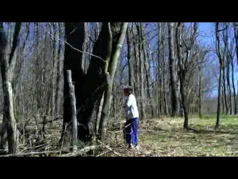 blair witch egg hunt