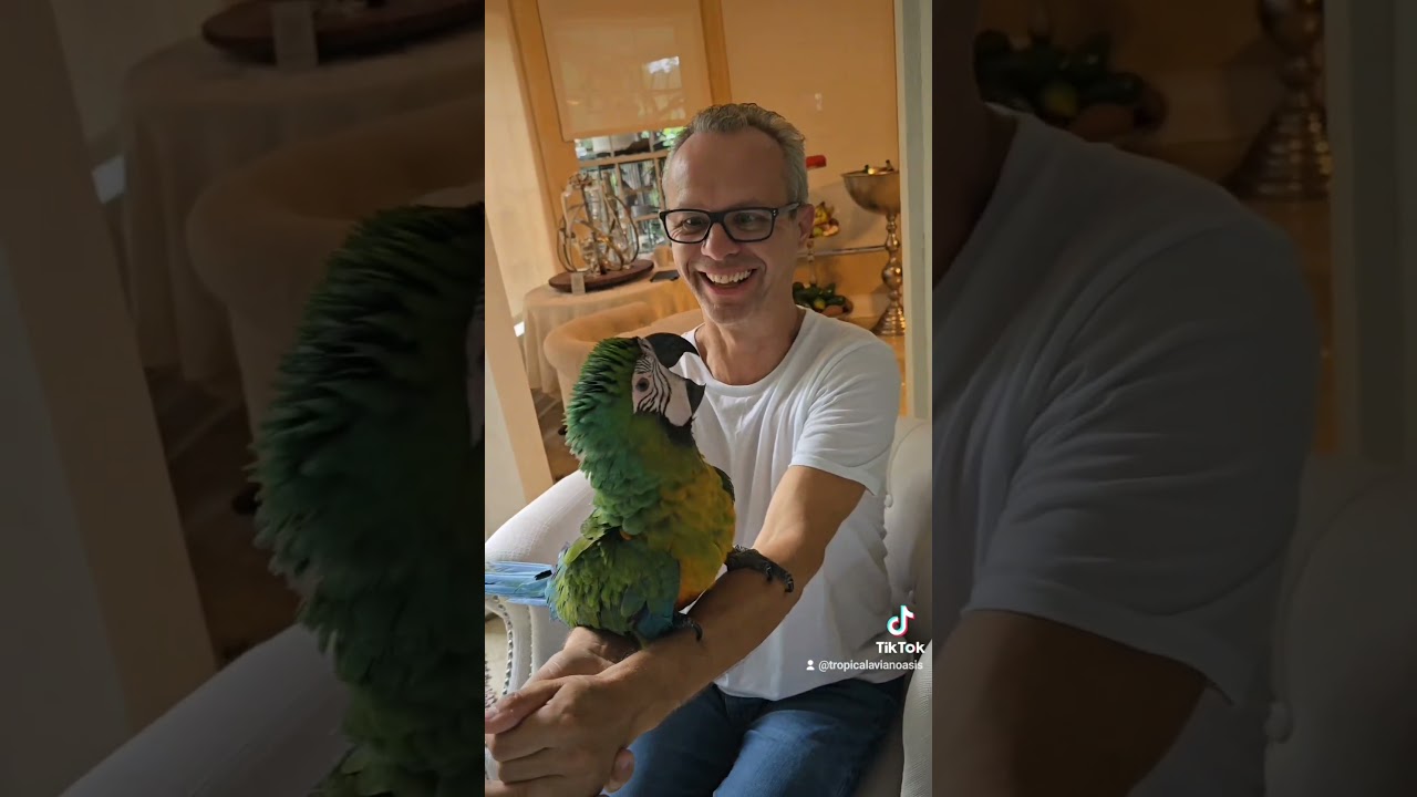 We love our birds!Please follow to help more birds!