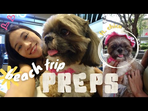 beach trip preparations ft. chico  🐻🛍️🛒