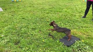 IMG 0160