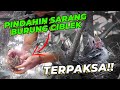 ANGIN LAGI KENCENG, SARANG CIBLEK MAU JATUH..!