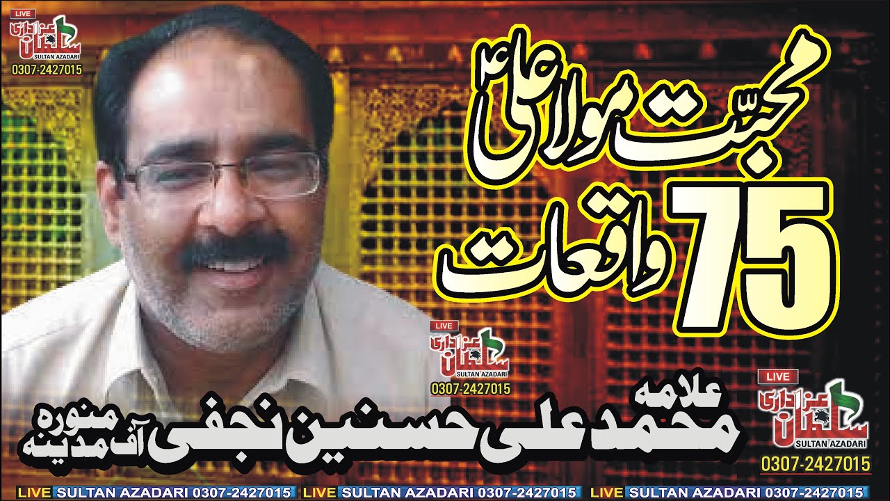 Allama Ali Hasnain Najafi 2024| muhammad ali hasnain najafi | Allama Ali Hasnain Najafi Mdena Munvra