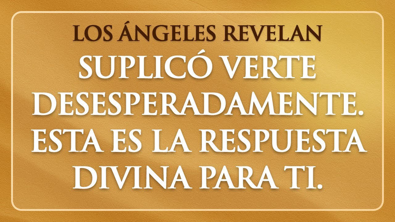 ✨ Esa persona le suplicó a los ángeles para verte hoy y ellos dijeron esto de ustedes.