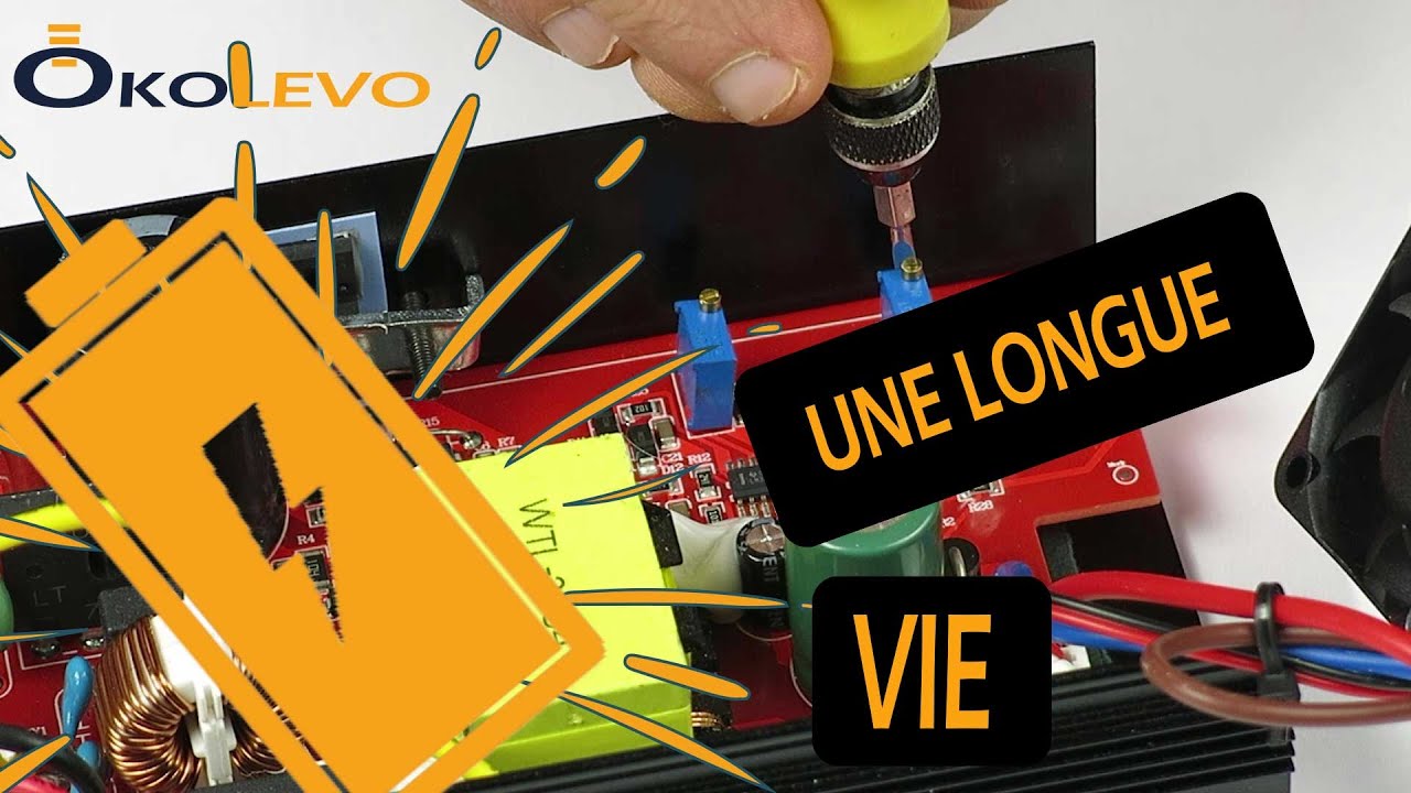 Inductance De Batterie Au Lithium 20 Cordes – SODIAL, Générique, Pour électronique