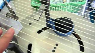 バボラ(Babolat) テニスストリング タッチトニック (TOUCH TONIC