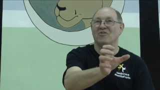 The MA-80 Modern Arnis System - interview with Professor Dan Anderson
