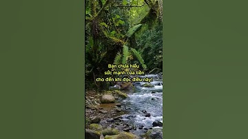 Tiền Không Phải Tất Cả – Nhưng Là Thứ Quyết Định Cuộc Đời Bạn! 💰