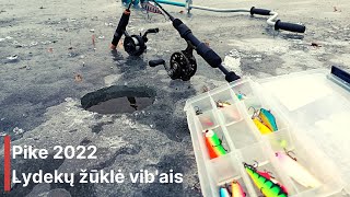Lydekų Žvejyba Vibais Žiemą Pike Ice Fishing