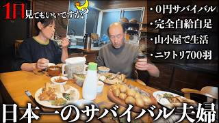 森の小屋でニワトリ700羽を食べて暮らす夫婦に1日密着！日本一のサバイバル自給自足の暮らしが異次元だった...