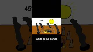 Earth’s Deadliest Places Explained part 2