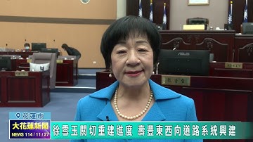 20251127 02 徐雪玉關切重建進度 壽豐東西向道路系統興建