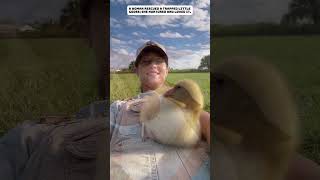 A small goose got trapped and was rescued by a woman.