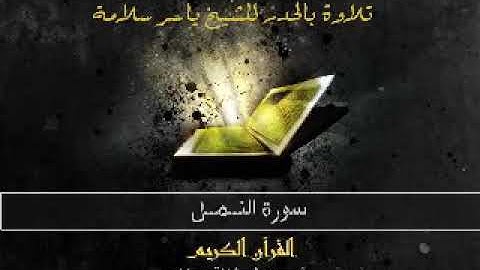 سورة النمل، حدر، ياسر سلامة، بدون اعلانات