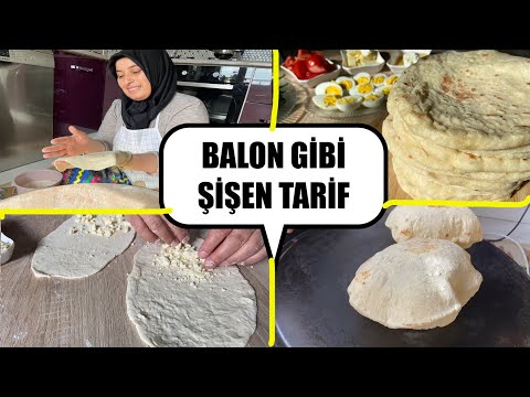 Video: Ev Gülü - Yarpaqlar Solsa Və Ya ətrafa Uçsa Nə Etməli