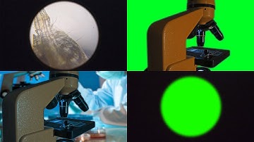 Footage on a green background. Microscope on a green background. Chroma key.