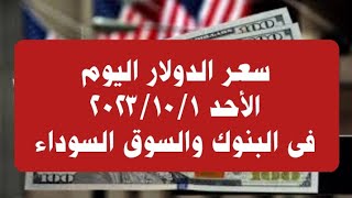 سعر الدولار اليوم الأحد ١ أكتوبر ٢٠٢٣ فى البنوك والسوق السوداء