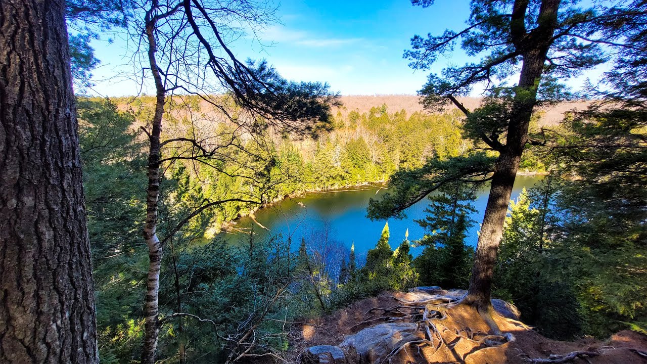 Hiking the Hemlock Bluff Trail in Algonquin Park