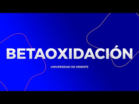 BETAOXIDACIÓN - Universidad de Oriente Puebla