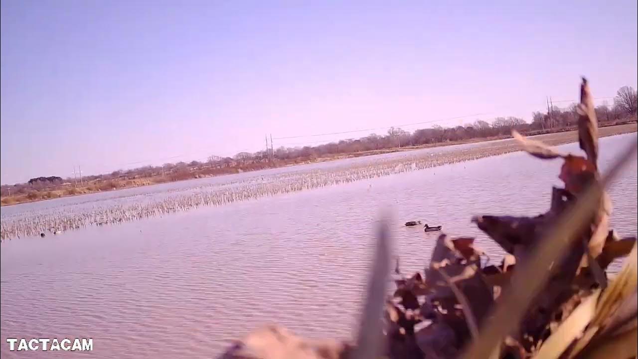 Duck Hunt 2022 Stuttgart, Ar with 2W Outfitters YouTube