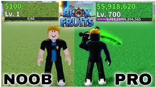 I Played BLOXFRUITS For The First Time! (Noob To Pro) 