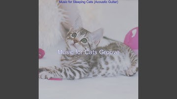 Scintillating Music for Relaxing Cats