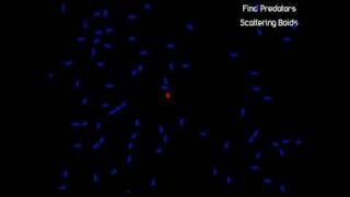 Demonstration Boids AI
