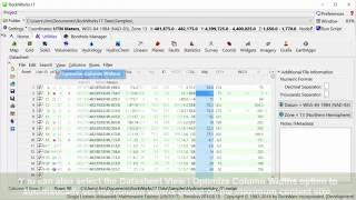 (RTE 7.3) Adjusting Datasheet Column Widths