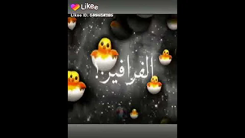 مش هقدر بس غير اخواتي 