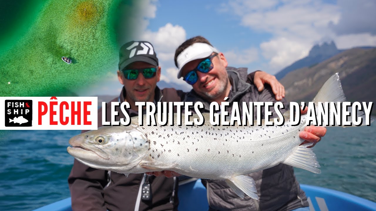 TRUITE GÉANTE : à la recherche des joyaux du lac d’Annecy