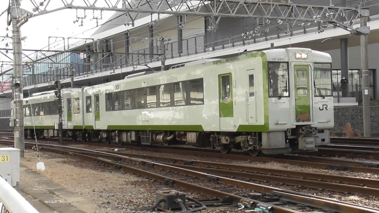 2026年1月29日 八高線では今、キハ110形 気動車 と HB -E220系